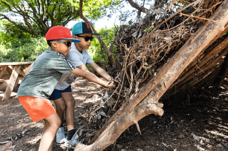 Den building activity